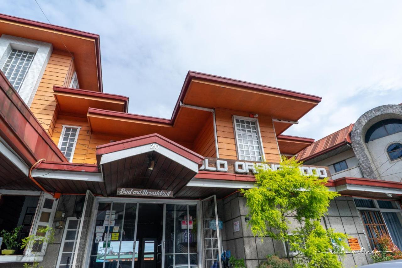 Old Orangewood Bed & Breakfast Baguio City Zewnętrze zdjęcie
